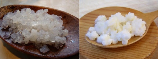 5 steps to revive milk kefir grains - KEFIRKO